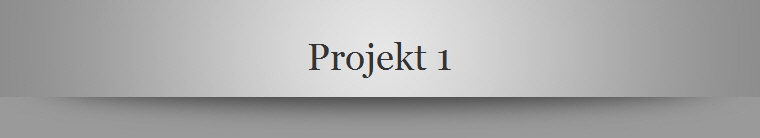 Projekt 1