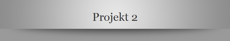 Projekt 2